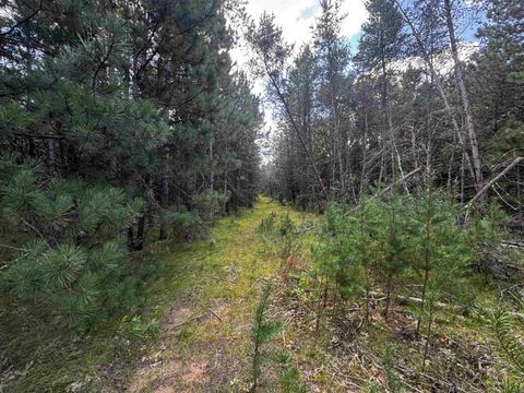 Tiny photo for 40 AC 15th Ave Acres, Arkdale, WI 54613 (MLS # 2009958)