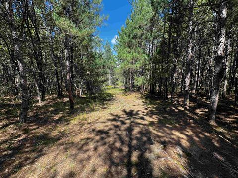 Tiny photo for 40 AC 15th Ave Acres, Arkdale, WI 54613 (MLS # 2009958)