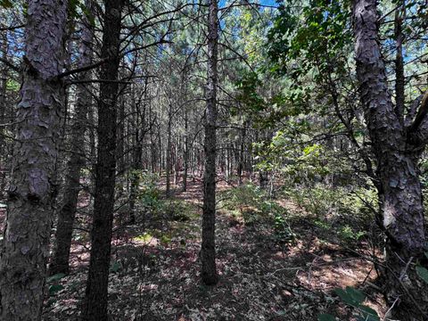Tiny photo for 40 AC 15th Ave Acres, Arkdale, WI 54613 (MLS # 2009958)