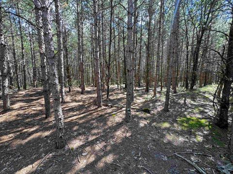 Tiny photo for 40 AC 15th Ave Acres, Arkdale, WI 54613 (MLS # 2009958)