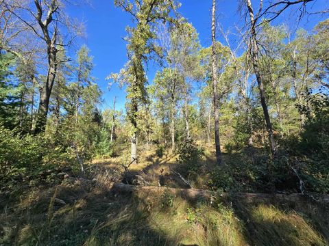 Tiny photo for 3.35 Acres Brown Deer Avenue, Arkdale, WI 54613 (MLS # 2011214)