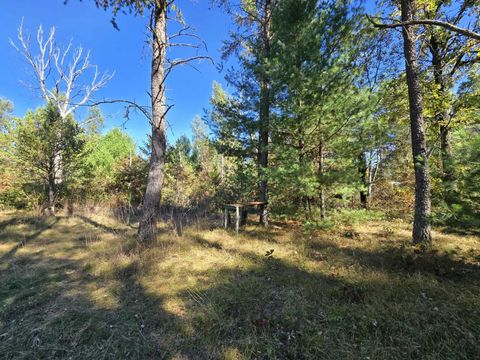 Tiny photo for 3.35 Acres Brown Deer Avenue, Arkdale, WI 54613 (MLS # 2011214)