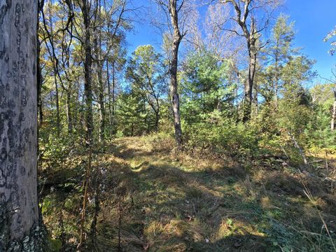 Tiny photo for 3.35 Acres Brown Deer Avenue, Arkdale, WI 54613 (MLS # 2011214)