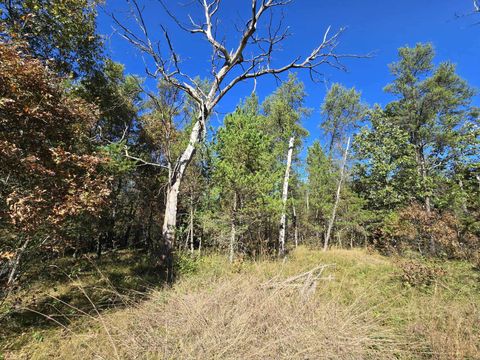 Tiny photo for 3.35 Acres Brown Deer Avenue, Arkdale, WI 54613 (MLS # 2011214)