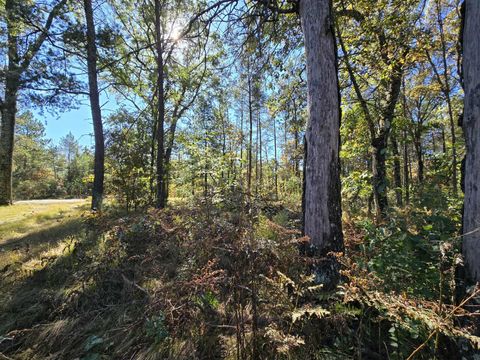 Tiny photo for 3.35 Acres Brown Deer Avenue, Arkdale, WI 54613 (MLS # 2011214)