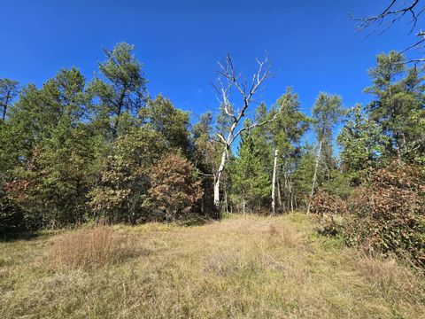 Tiny photo for 3.35 Acres Brown Deer Avenue, Arkdale, WI 54613 (MLS # 2011214)