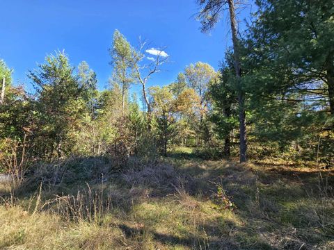 Tiny photo for 3.35 Acres Brown Deer Avenue, Arkdale, WI 54613 (MLS # 2011214)