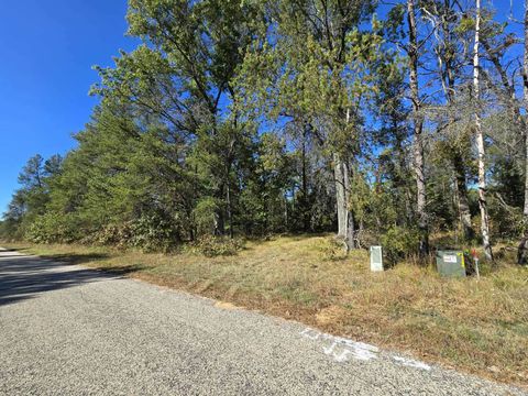 Tiny photo for 3.35 Acres Brown Deer Avenue, Arkdale, WI 54613 (MLS # 2011214)