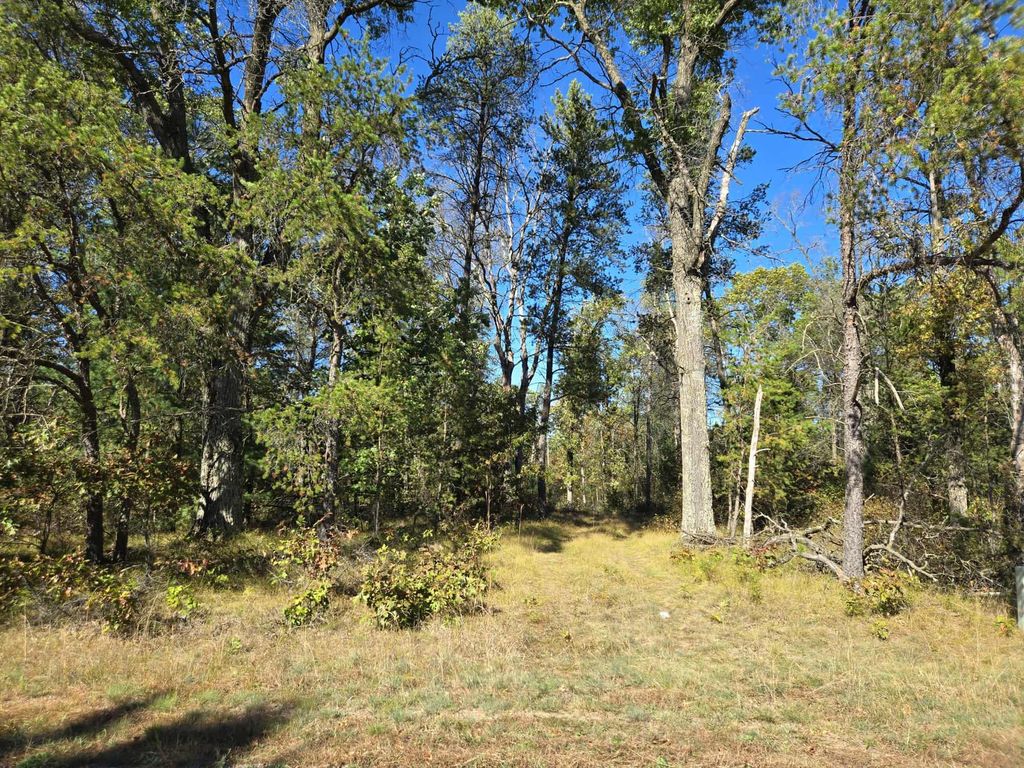 Photo for 3.35 Acres Brown Deer Avenue, Arkdale, WI 54613 (MLS # 2011214)