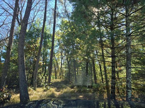 Tiny photo for 3.35 Acres Brown Deer Avenue, Arkdale, WI 54613 (MLS # 2011214)