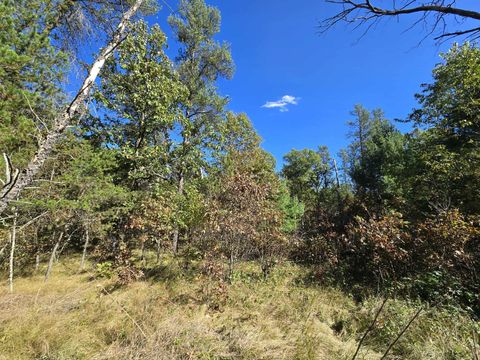 Tiny photo for 3.35 Acres Brown Deer Avenue, Arkdale, WI 54613 (MLS # 2011214)