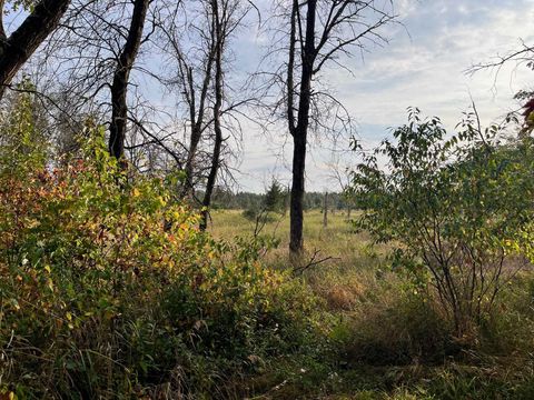 Photo of 1193 Beaver Avenue, Nekoosa, WI 54457 (MLS # 2013765)