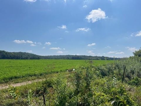 Tiny photo for L30-L31 Lindale Drive, Cross Plains, WI 53528 (MLS # 2008765)
