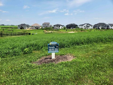 Photo of 817 Valley Road, Dane, WI 53529 (MLS # 2018489)