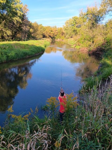 Tiny photo for 000 Hwy 80 S, Richland Center, WI 53581 (MLS # 2012701)