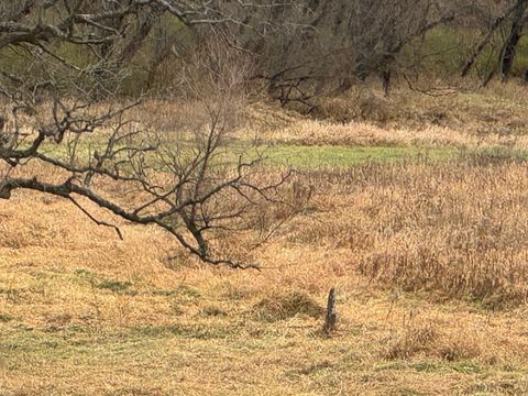 Tiny photo for 000 Hwy 80 S, Richland Center, WI 53581 (MLS # 2012701)