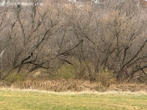 Tiny photo for 000 Hwy 80 S, Richland Center, WI 53581 (MLS # 2012701)