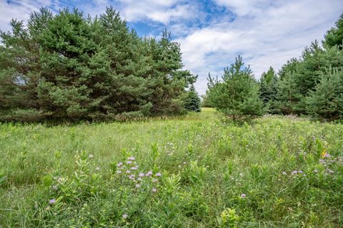 Tiny photo for 4.75 Ac Fish Court, Oxford, WI 53952 (MLS # 2005029)