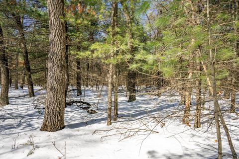 Photo of Lot 28 W 9th Court, Wisconsin Dells, WI 53965 (MLS # 2019008)