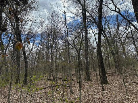 Photo of 8.81 ac Raedel Lane, Wisconsin Dells, WI 53965 (MLS # 2022494)
