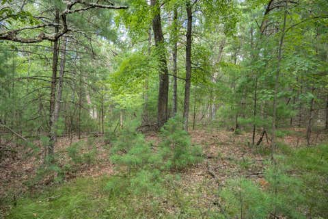 Photo of Lot 130 19th Pass, Arkdale, WI 54613 (MLS # 2031076)