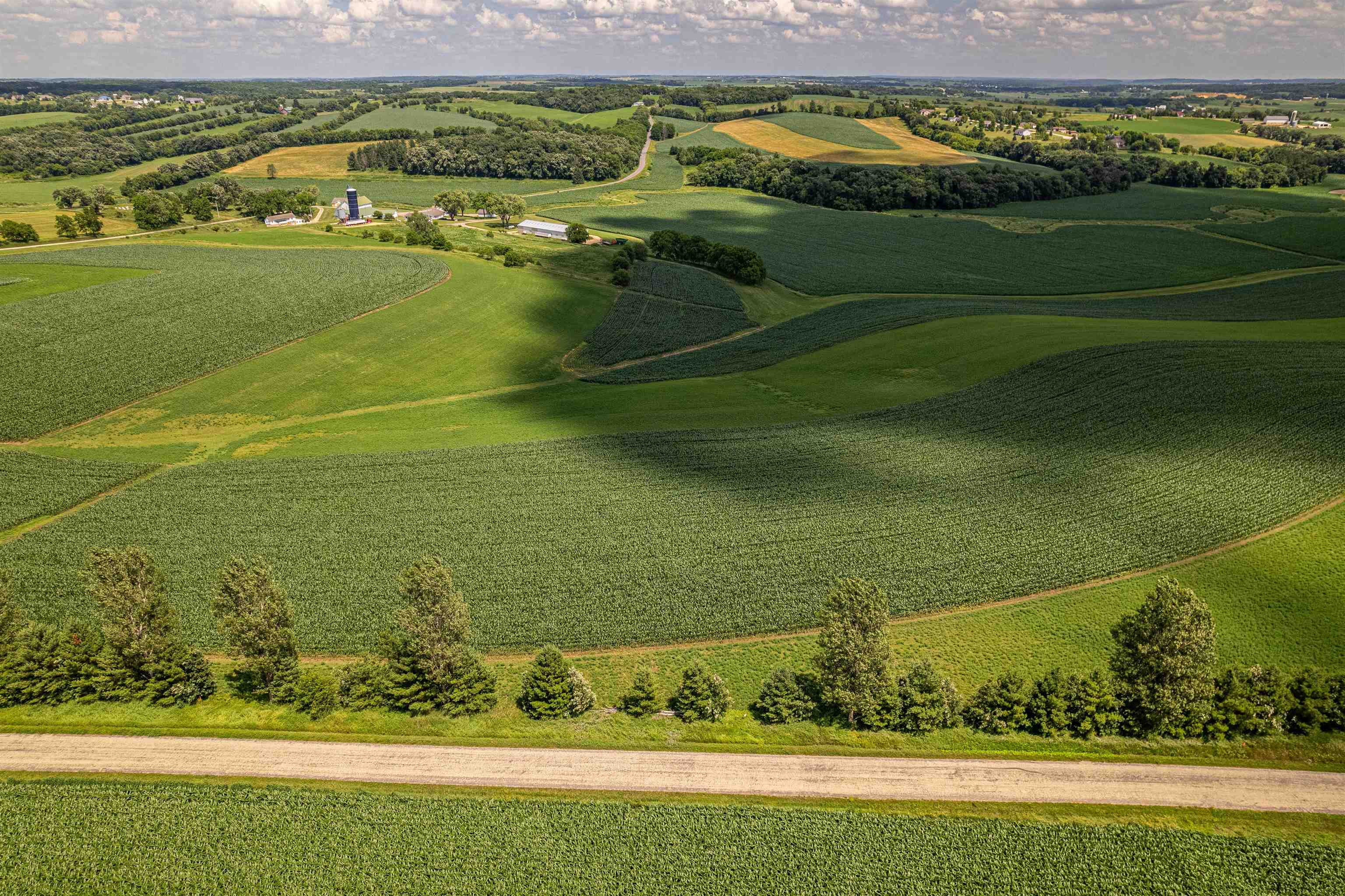 Lot 8 11.65 Acres Hefty Road - Photo 2
