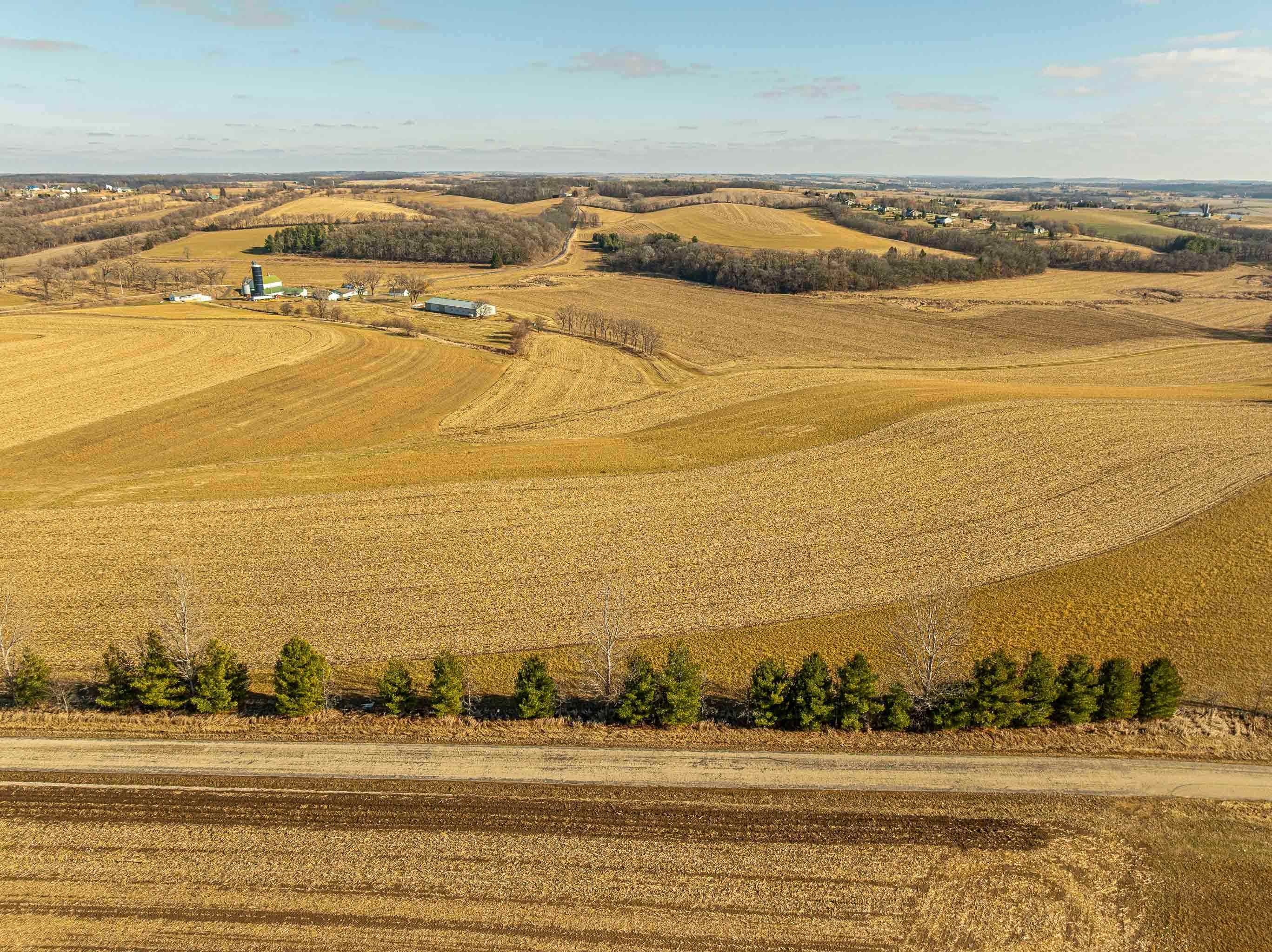 Lot 8 11.65 Acres Hefty Road - Photo 4