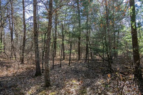 Photo of Lot 3 Morros Mile Road, Necedah, WI 54646 (MLS # 2019985)