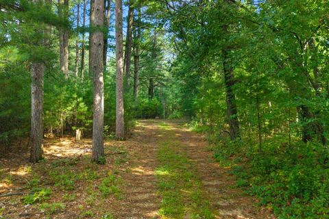 Tiny photo for W5533 Archer Lane, Wild Rose, WI 54984 (MLS # 2008202)