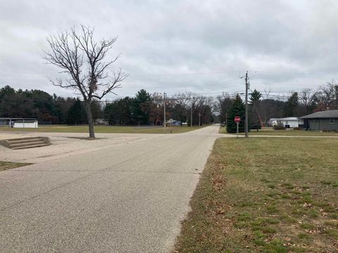 Tiny photo for 0.86 Acres Raymond Street, Friendship, WI 53934 (MLS # 2005441)