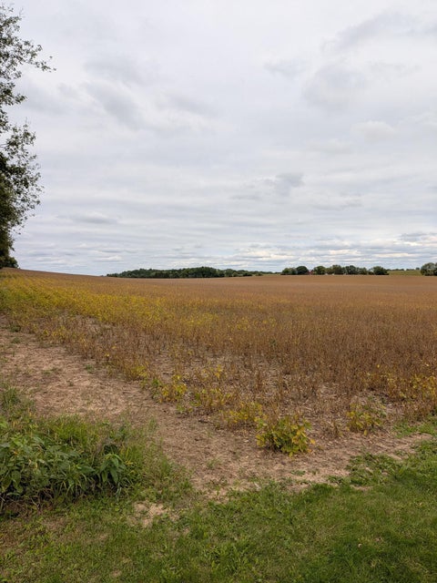 Photo of 38.80 Acres Faville Road, Lake Mills, WI 53551 (MLS # 2033533)