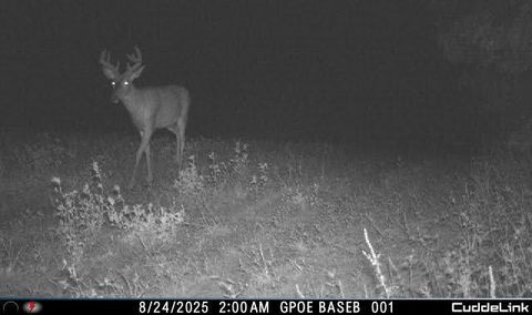 Tiny photo for E9344 State Rd 23 Road, Reedsburg, WI 53959 (MLS # 2013072)