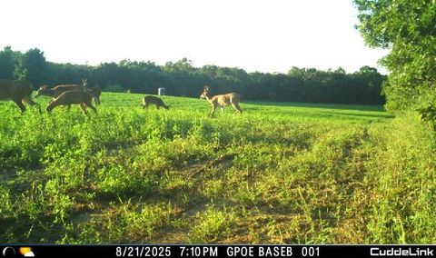 Tiny photo for E9344 State Rd 23 Road, Reedsburg, WI 53959 (MLS # 2013072)