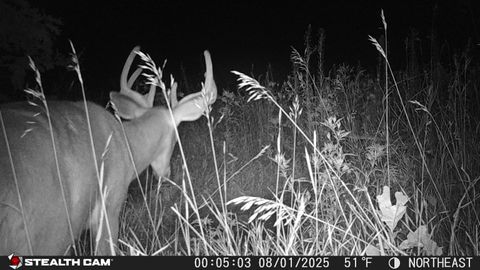 Tiny photo for E9344 State Rd 23 Road, Reedsburg, WI 53959 (MLS # 2013072)