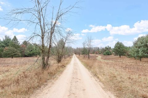 Tiny photo for N1408 3rd Lane, Coloma, WI 54930 (MLS # 1989718)
