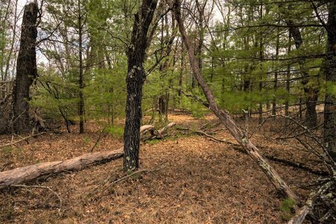Tiny photo for Lot 188 18th Lane, Friendship, WI 53934 (MLS # 1954395)