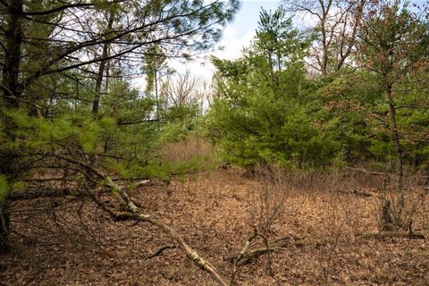 Tiny photo for Lot 188 18th Lane, Friendship, WI 53934 (MLS # 1954395)