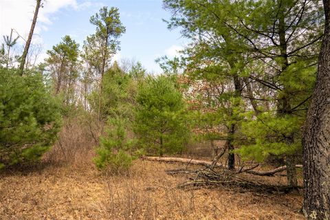 Tiny photo for Lot 188 18th Lane, Friendship, WI 53934 (MLS # 1954395)