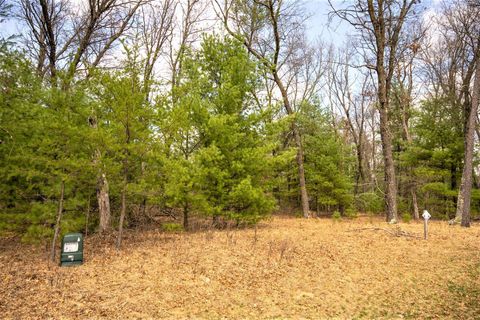 Tiny photo for Lot 188 18th Lane, Friendship, WI 53934 (MLS # 1954395)