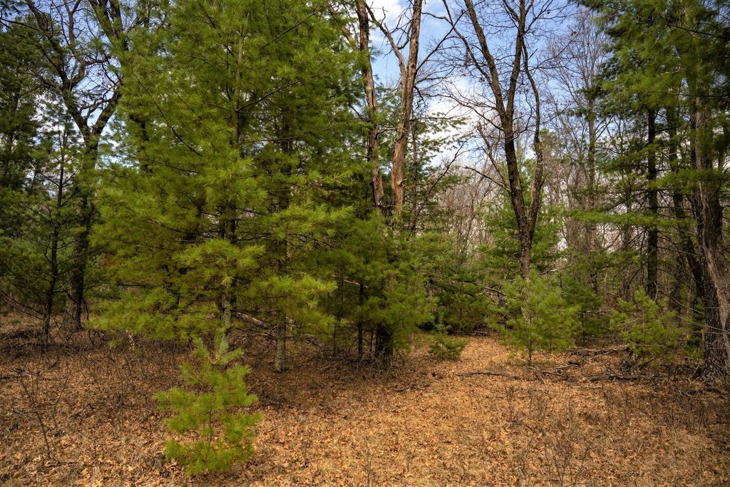Photo for Lot 188 18th Lane, Friendship, WI 53934 (MLS # 1954395)
