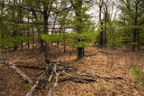 Tiny photo for Lot 188 18th Lane, Friendship, WI 53934 (MLS # 1954395)