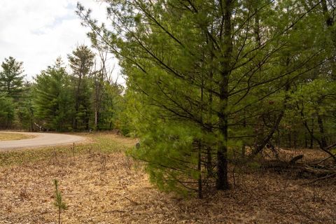 Tiny photo for Lot 188 18th Lane, Friendship, WI 53934 (MLS # 1954395)