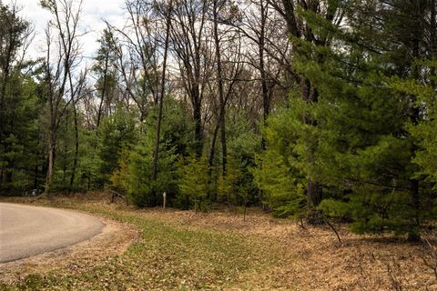 Tiny photo for Lot 188 18th Lane, Friendship, WI 53934 (MLS # 1954395)