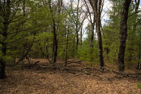 Tiny photo for Lot 188 18th Lane, Friendship, WI 53934 (MLS # 1954395)
