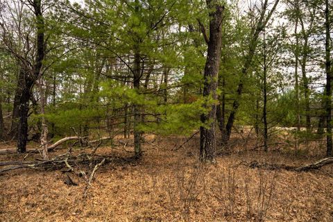 Tiny photo for Lot 188 18th Lane, Friendship, WI 53934 (MLS # 1954395)