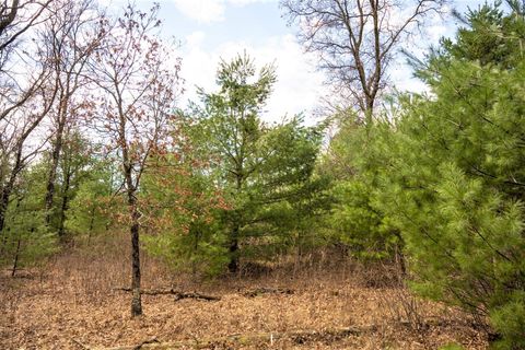Tiny photo for Lot 188 18th Lane, Friendship, WI 53934 (MLS # 1954395)