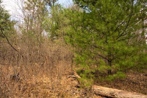 Tiny photo for Lot 188 18th Lane, Friendship, WI 53934 (MLS # 1954395)
