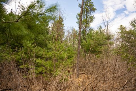 Tiny photo for Lot 188 18th Lane, Friendship, WI 53934 (MLS # 1954395)