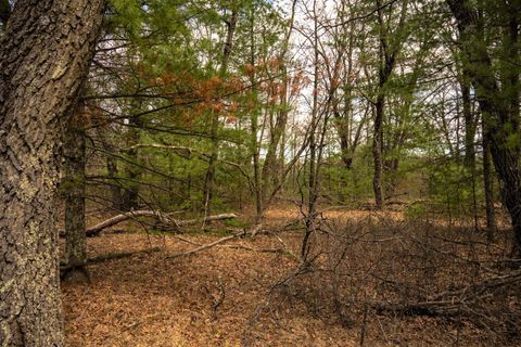 Tiny photo for Lot 188 18th Lane, Friendship, WI 53934 (MLS # 1954395)