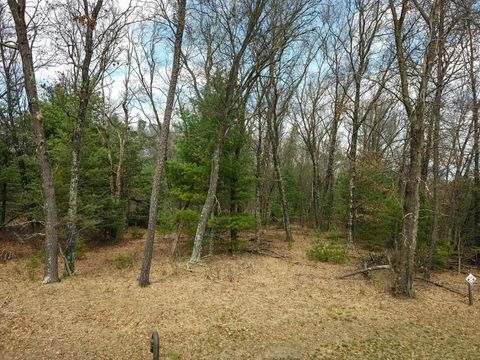 Tiny photo for Lot 188 18th Lane, Friendship, WI 53934 (MLS # 1954395)